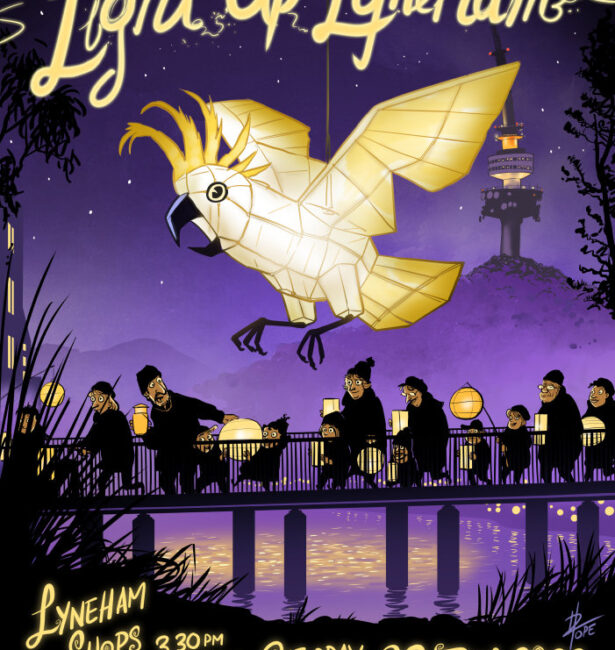 Light Up Lyneham 2023